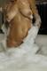 Foto privada de Ladyred76