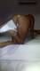 Foto privada de primaesperienzaincam
