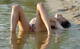 Foto privada de EROTICASOLE